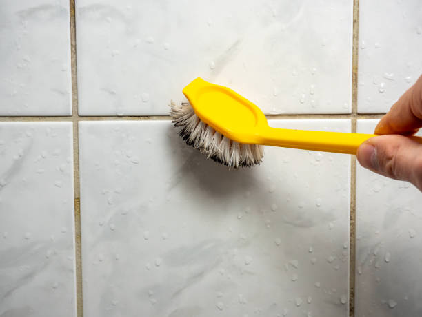 Best Mold Cleaning Services  in Ferriday, LA