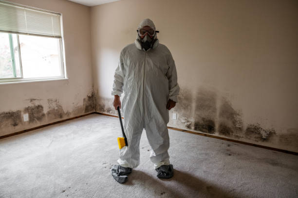 Best Residential Mold Removal  in Ferriday, LA